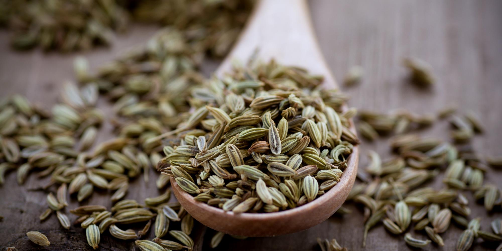 7 Herbs to Help with Digestion