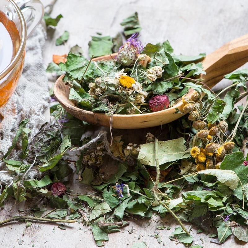 Backyard Medicinal Herbs @ Parsippany Library